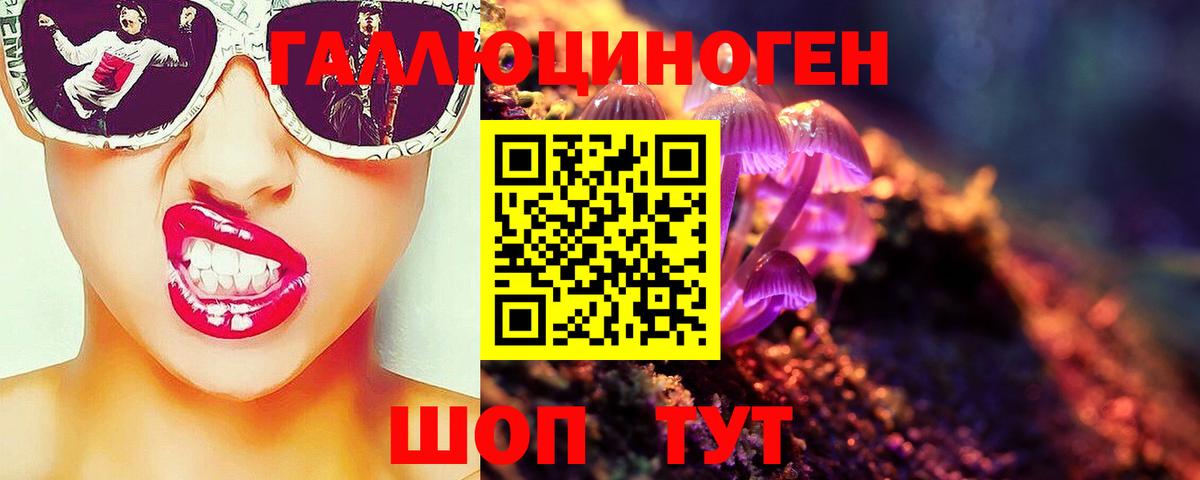 Галлюциногенные грибы Psilocybine cubensis Михайловка
